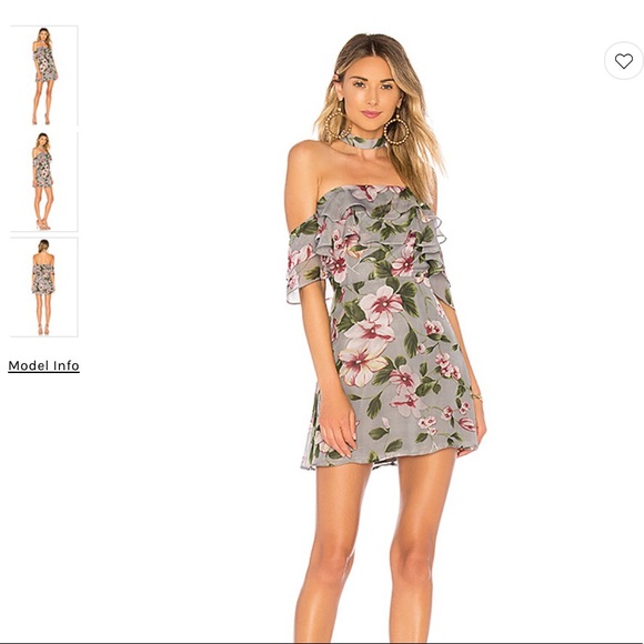 revolve parker dress